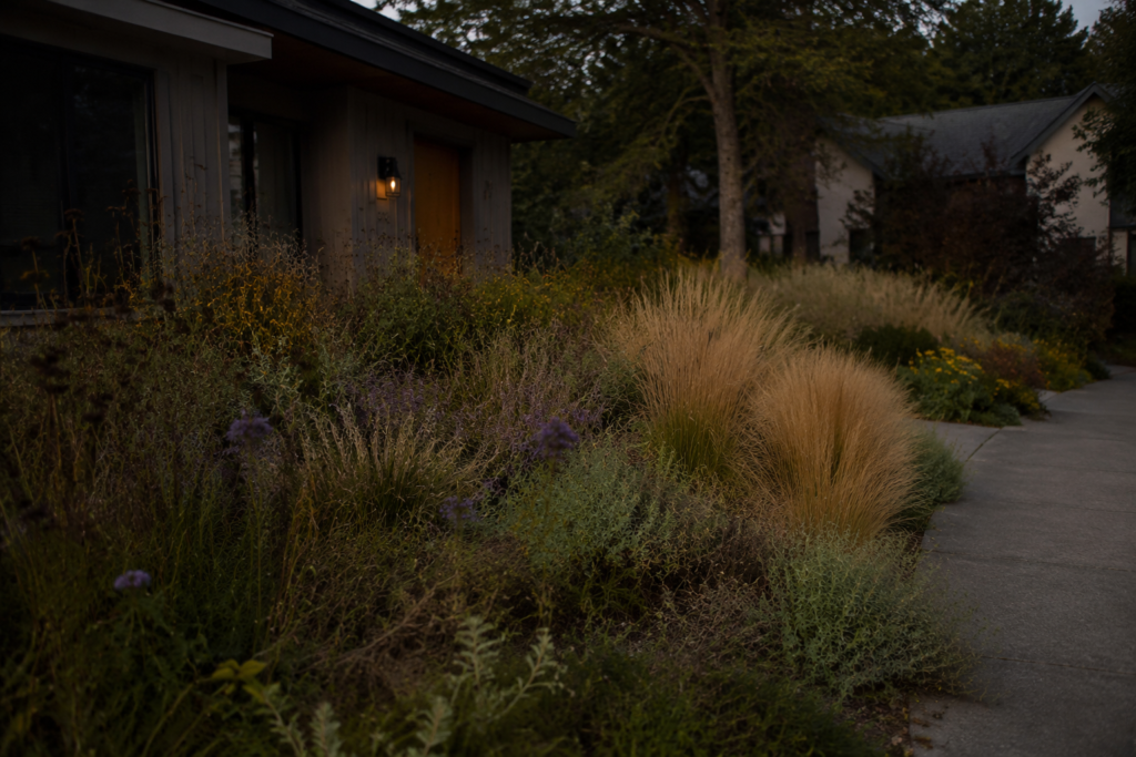 1. Replace Your Lawn with Native Grasses