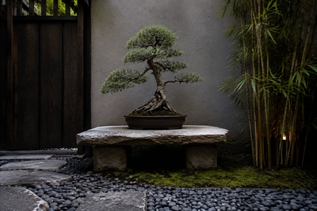 11. Minimalist Bonsai Display