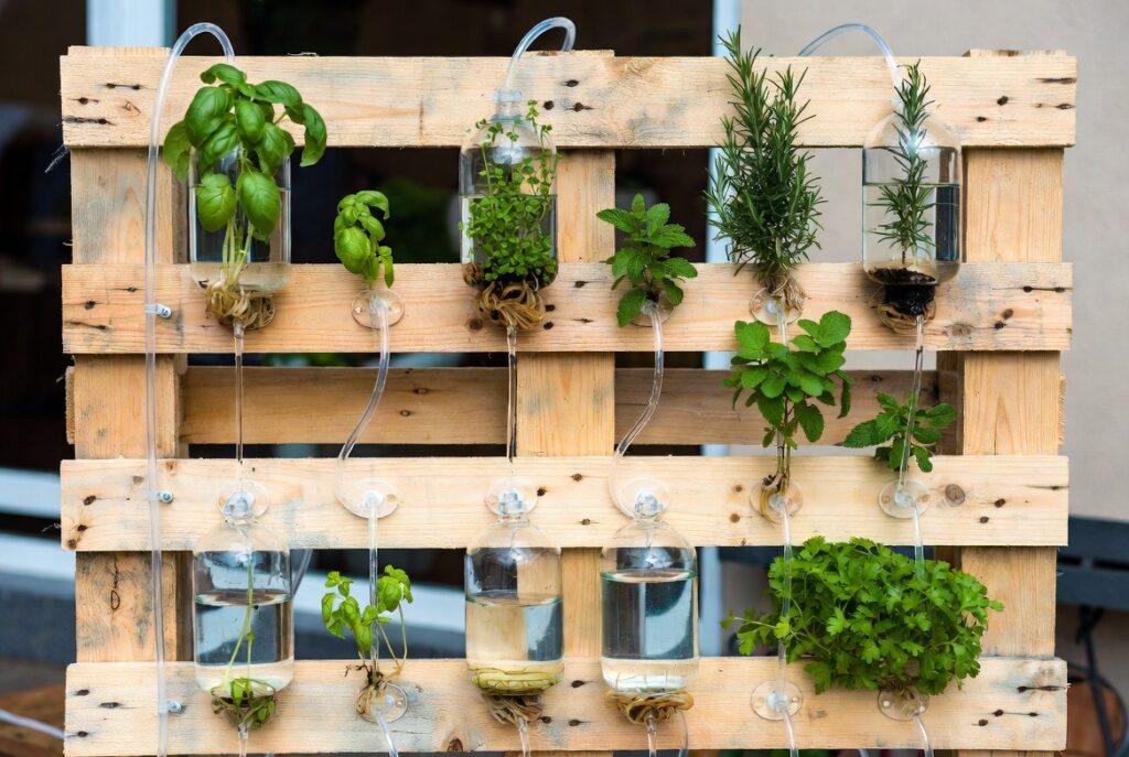 14. Use Glass Cloches for Delicate Herbs