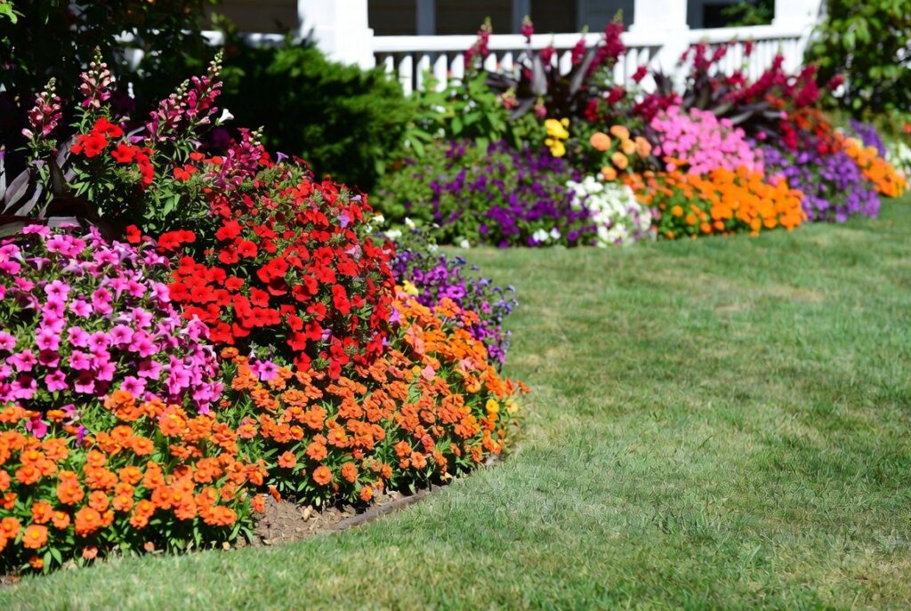 17. Use Seasonal Color with Annuals