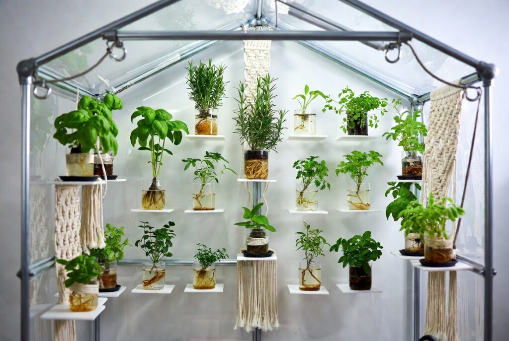 18. Grow Herbs in a Mini Greenhouse