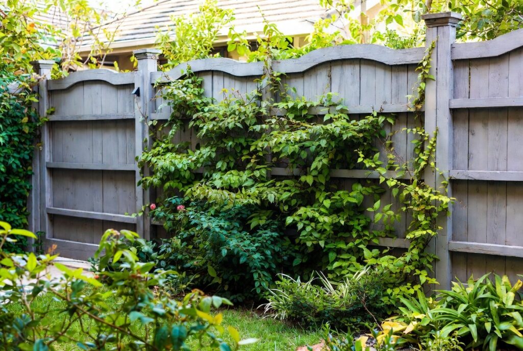 19. Custom Gate and Fence Combination