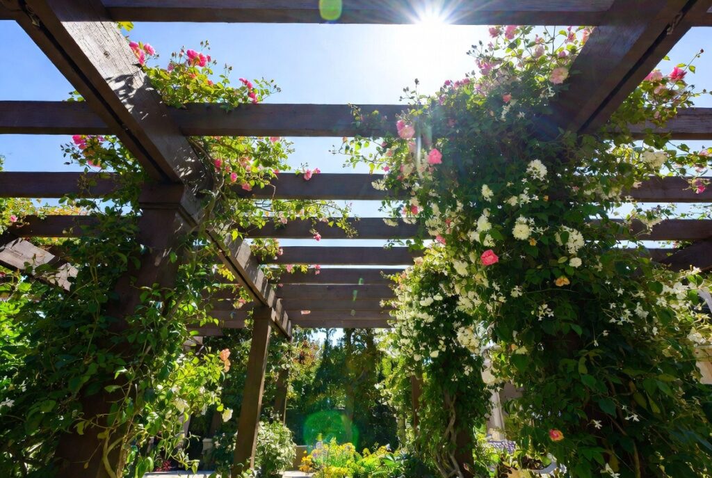 4. Grow Climbing Plants Up the Posts