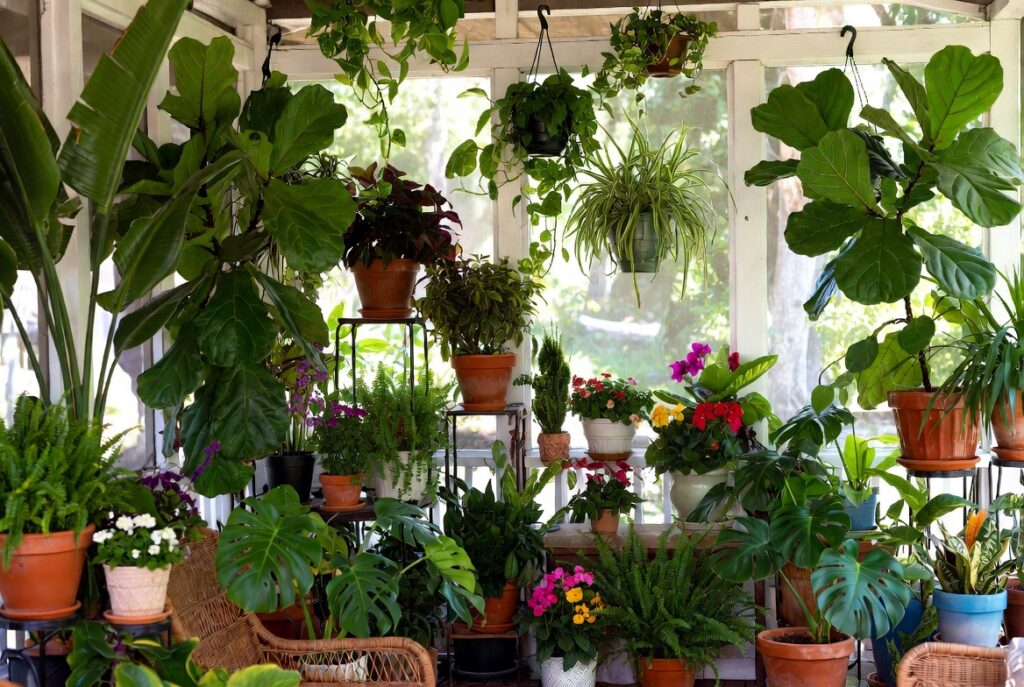 5. Fill Every Corner with Potted Plants