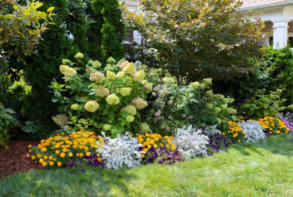 6. Create a Layered Planting Design