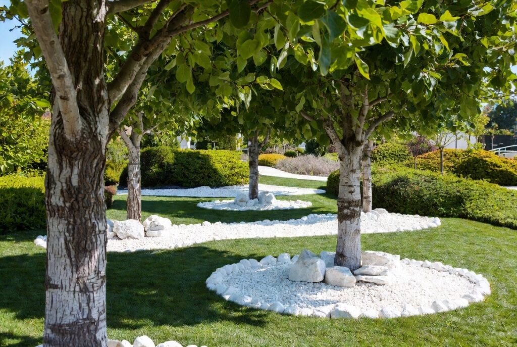 6. Ring Trees with White Rock