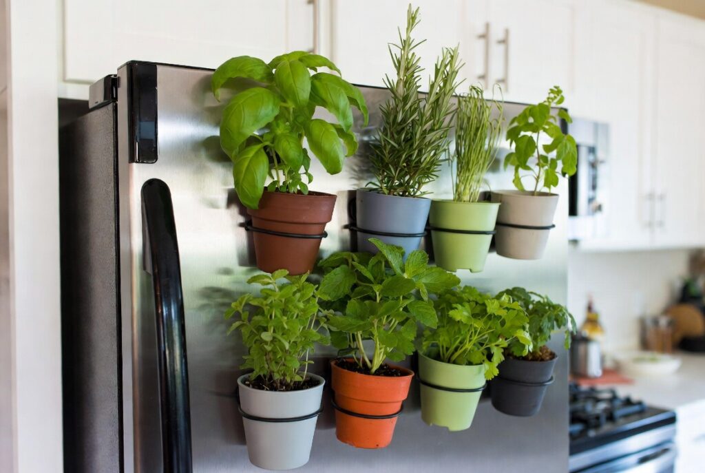 8. Create a Magnetic Fridge Herb Garden