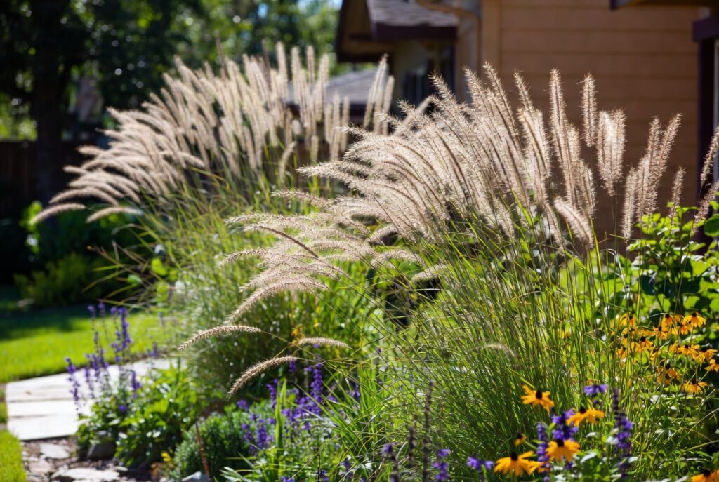 8. Use Ornamental Grasses
