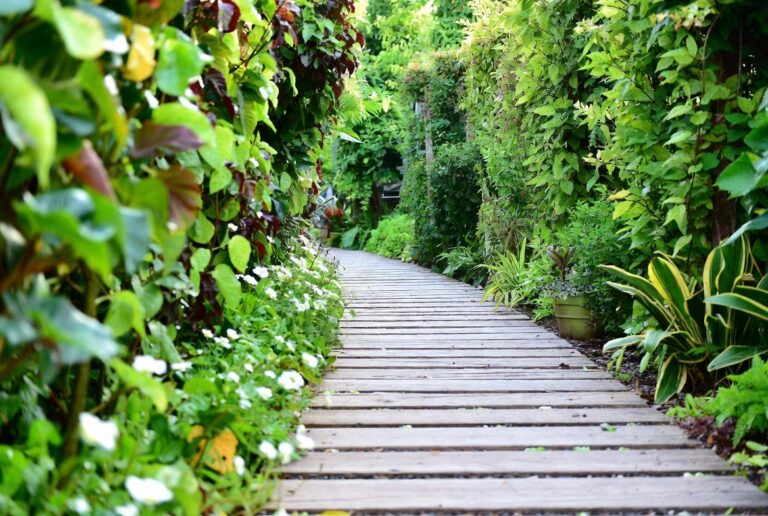 20 Wooden Walkway Ideas for Charming Garden Pathways
