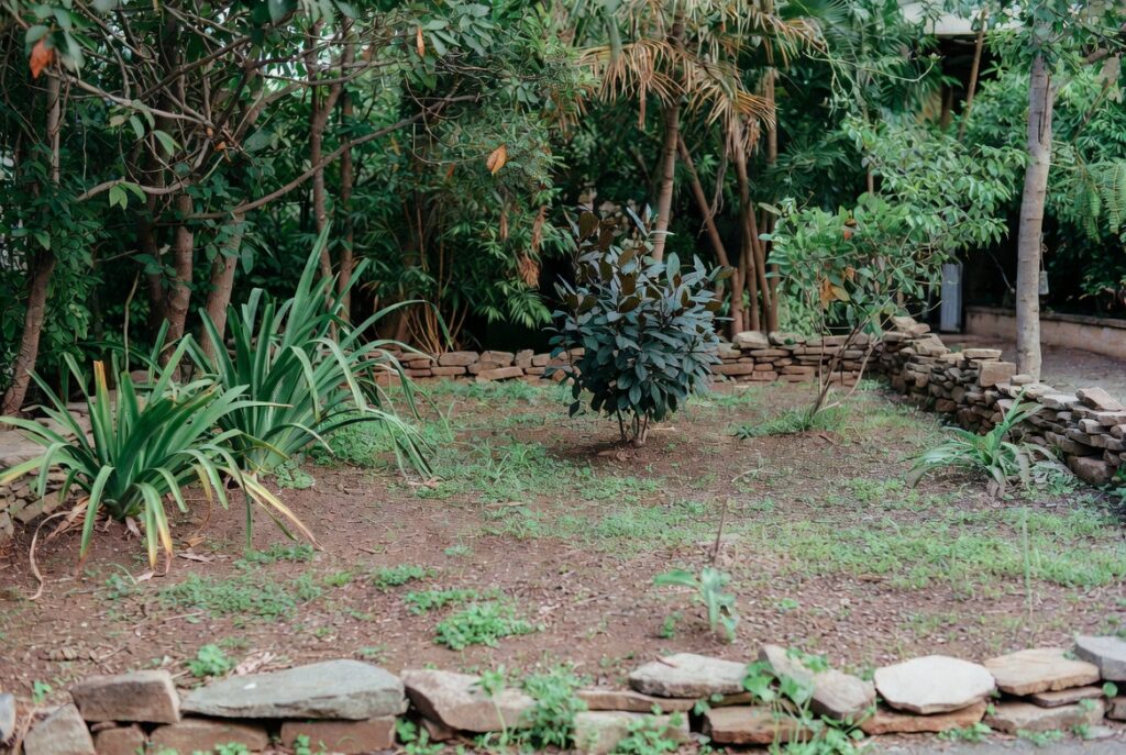 front yard landscaping ideas before transformation scattered plants no design