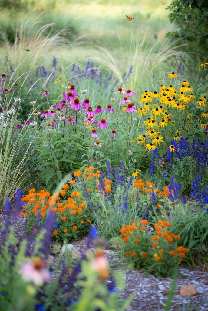 <img data-src="native-plants-garden.jpg" alt="Native plants that practically grow themselves - Low maintenance effortless native plant garden featuring drought tolerant wildflowers, grasses and shrubs that thrive with minimal care. Beautiful blooming coneflowers, black-eyed susans, milkweed, prairie grasses and native perennials in a natural backyard habitat. Eco-friendly gardening with plants adapted to local climate that save water time and effort while supporting pollinators and wildlife. Discover the best native plants for easy sustainable gardening that practically grow themselves year after year.">