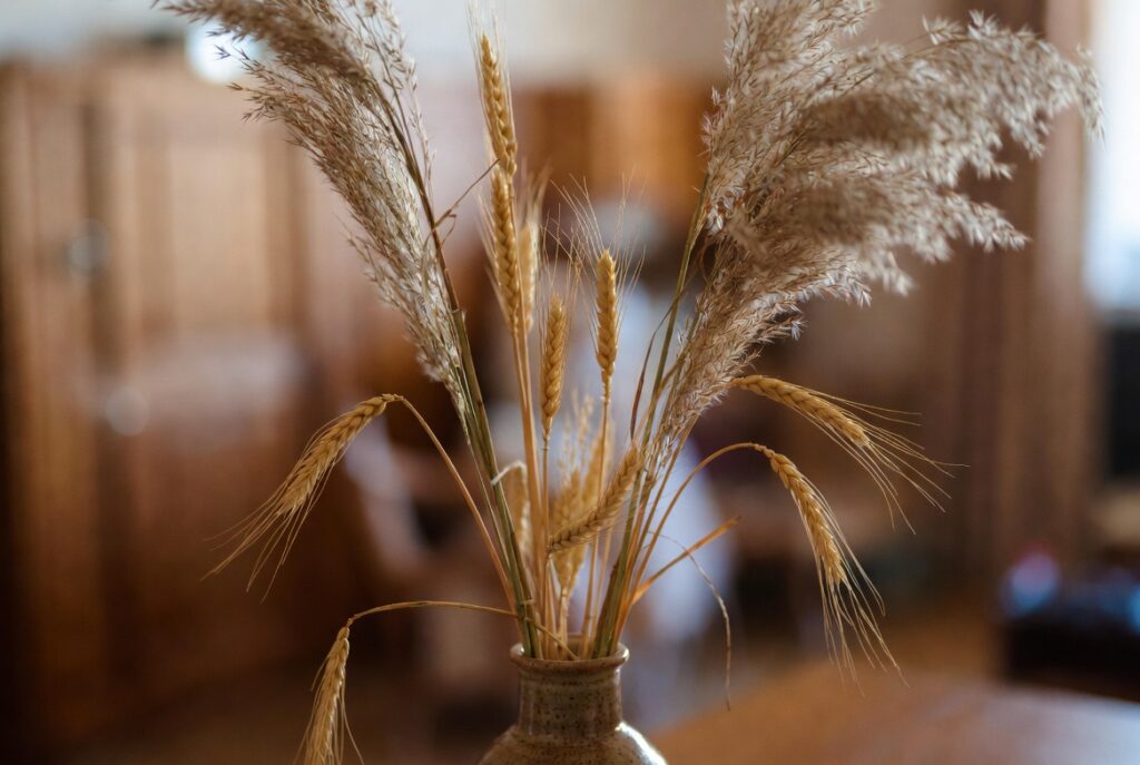 Dried pampas grass and wheat stems arranged in ceramic vase in warm autumn room, soft natural light