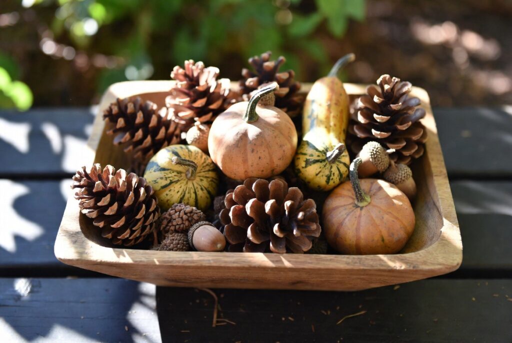 Wooden bowl filled with pinecones, gourds and acorns as natural autumn centerpiece, warm natural light