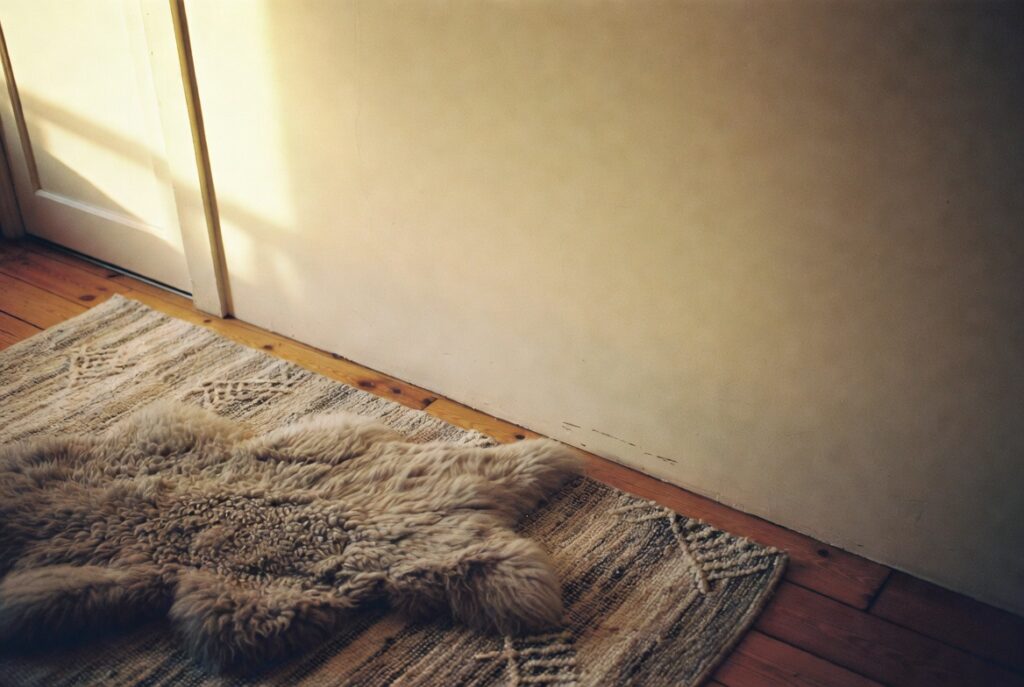Cozy room with soft sheepskin rug layered over larger flatweave rug on wood floors, warm light