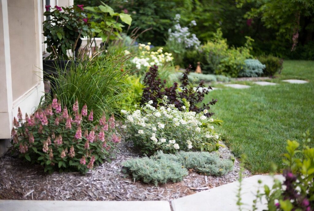Native foundation planting looking naturally maintained for curb appeal