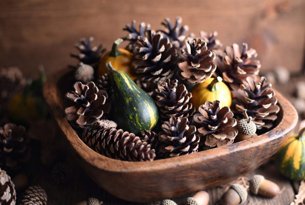 Wooden bowl filled with pinecones, gourds and acorns as natural autumn centerpiece, warm natural light