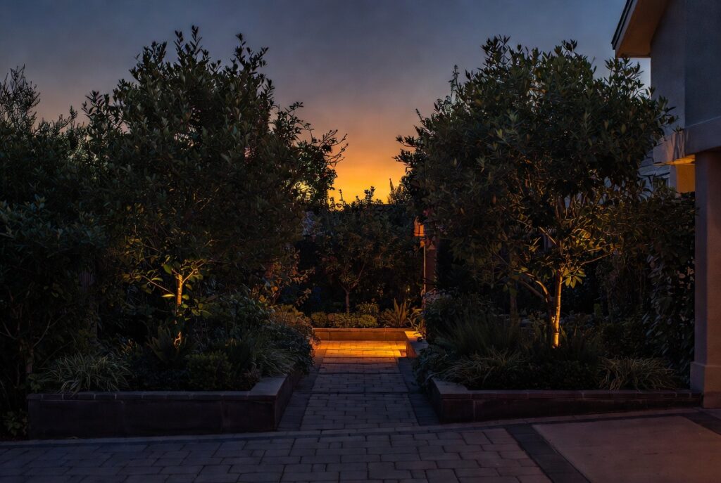 modern front yard landscaping ideas cohesive design curb appeal pathway lighting