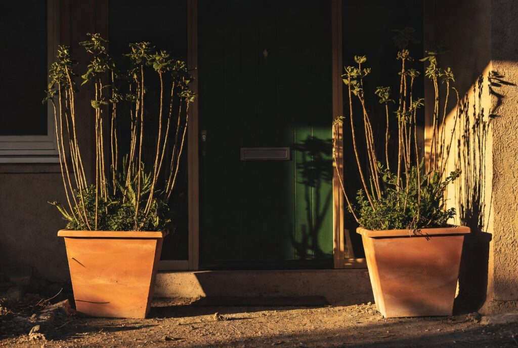 Two large terracotta planters with tall plants flanking bold forest green front door, golden hour light, home entrance