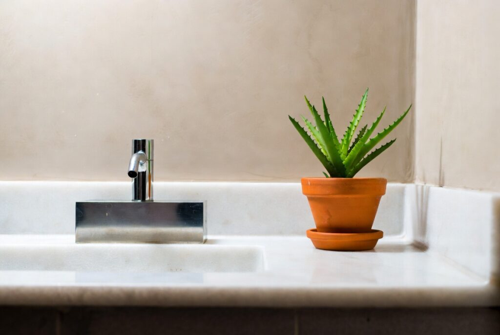 Minimal bathroom counter with soap dispenser and one plant, clean organized space, natural light