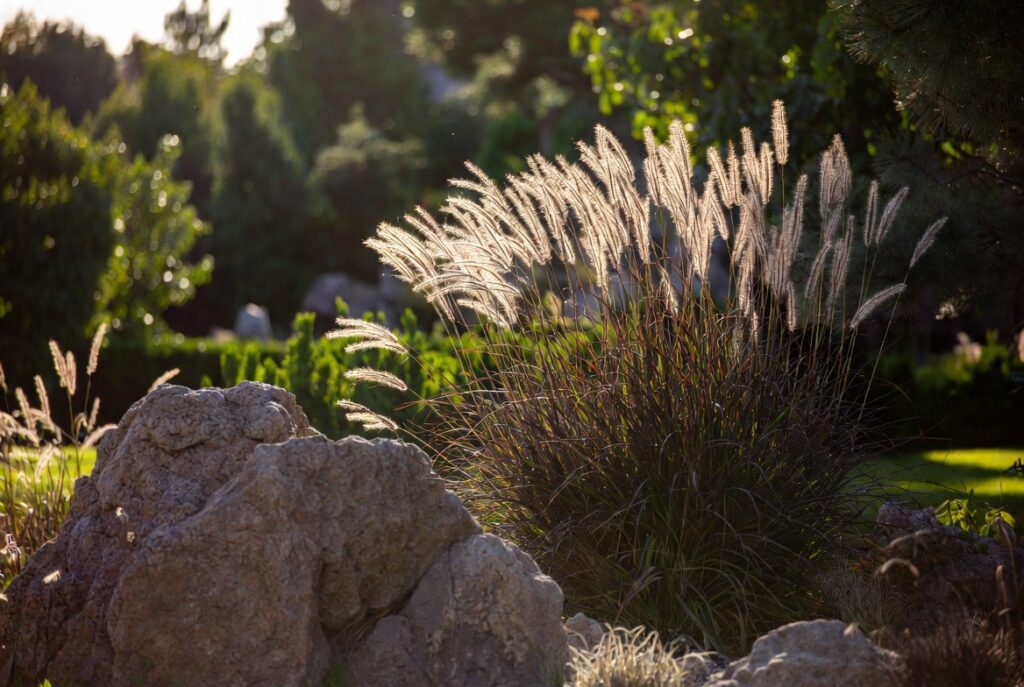 boulder landscaping ideas natural stone yard design ornamental grasses focal point