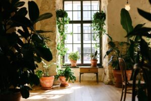 16 Gorgeous Plant Decor Ideas for a Calm Natural Home