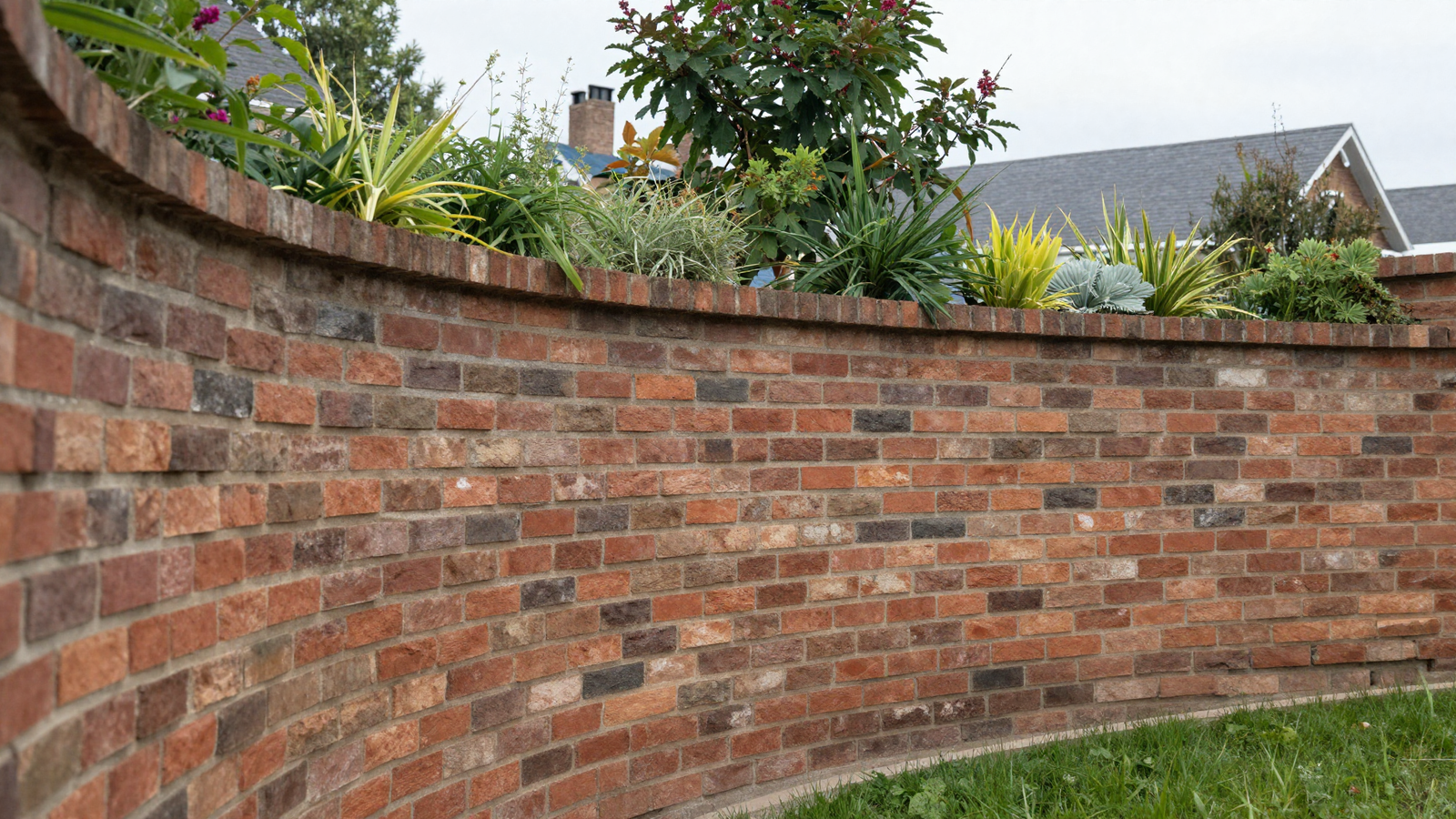 Curved brick privacy wall with planting along the top edge in a backyard