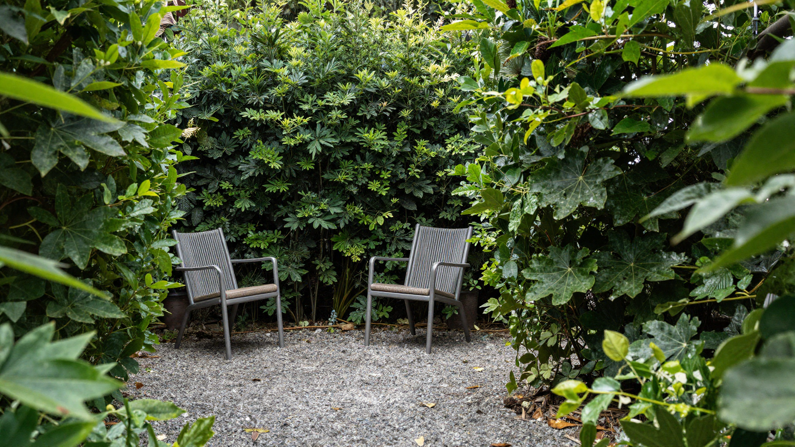 Two chairs in a tight gravel seating zone enclosed by tall shrubs and large-leaf foliage