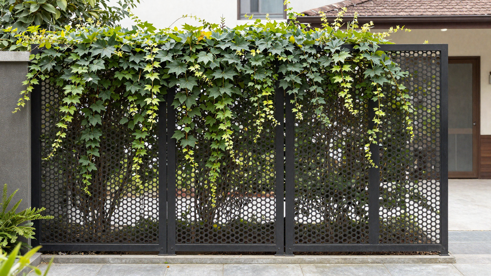 Hexagonal perforated steel privacy screen covered in flowering crossvine