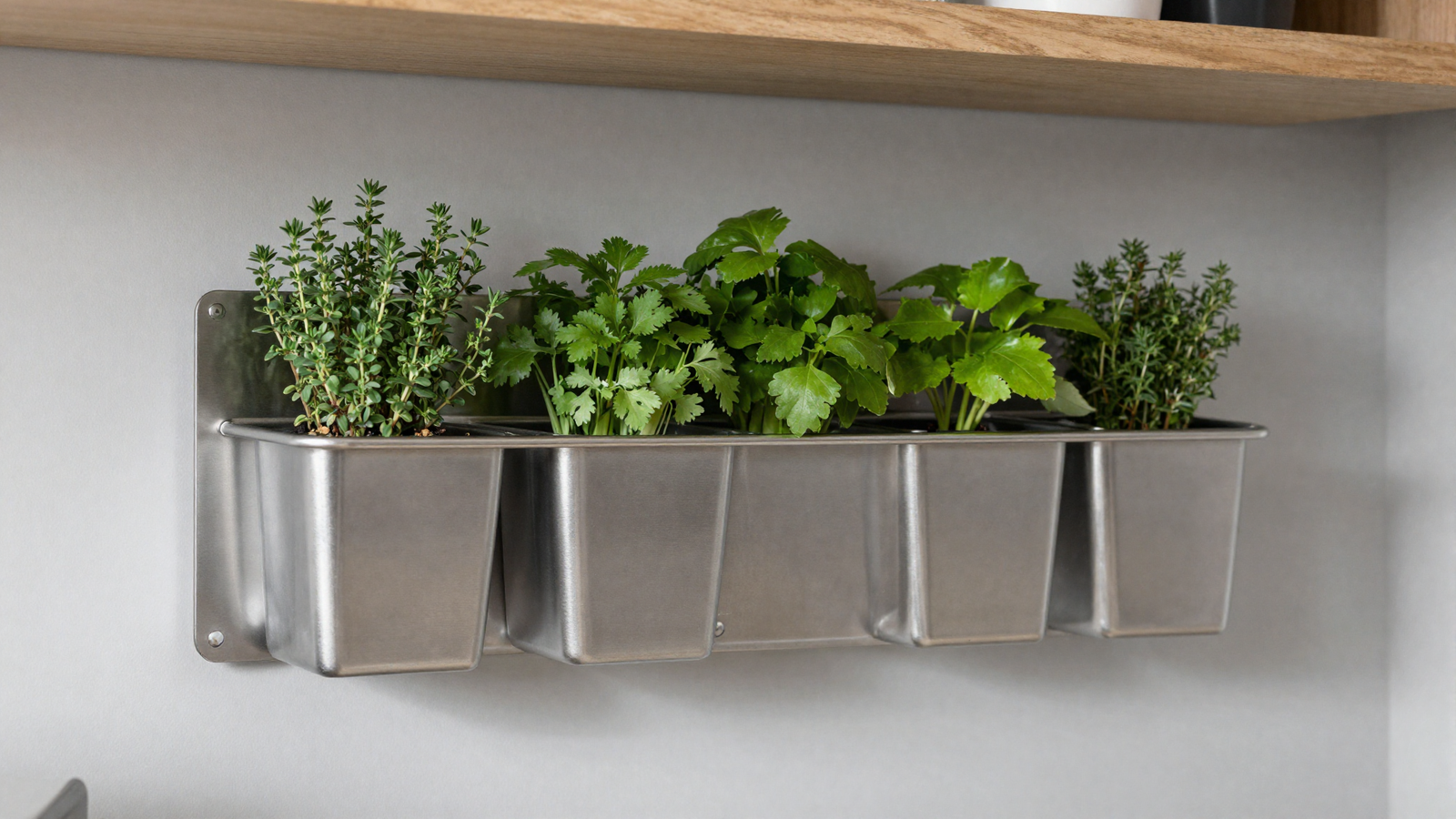 Kitchen wall with sleek metal vertical planter system holding thyme oregano and parsley