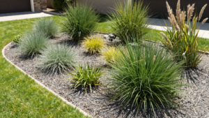 14 Stunning Xeriscaping Ideas for a Beautiful Water-Wise Landscape