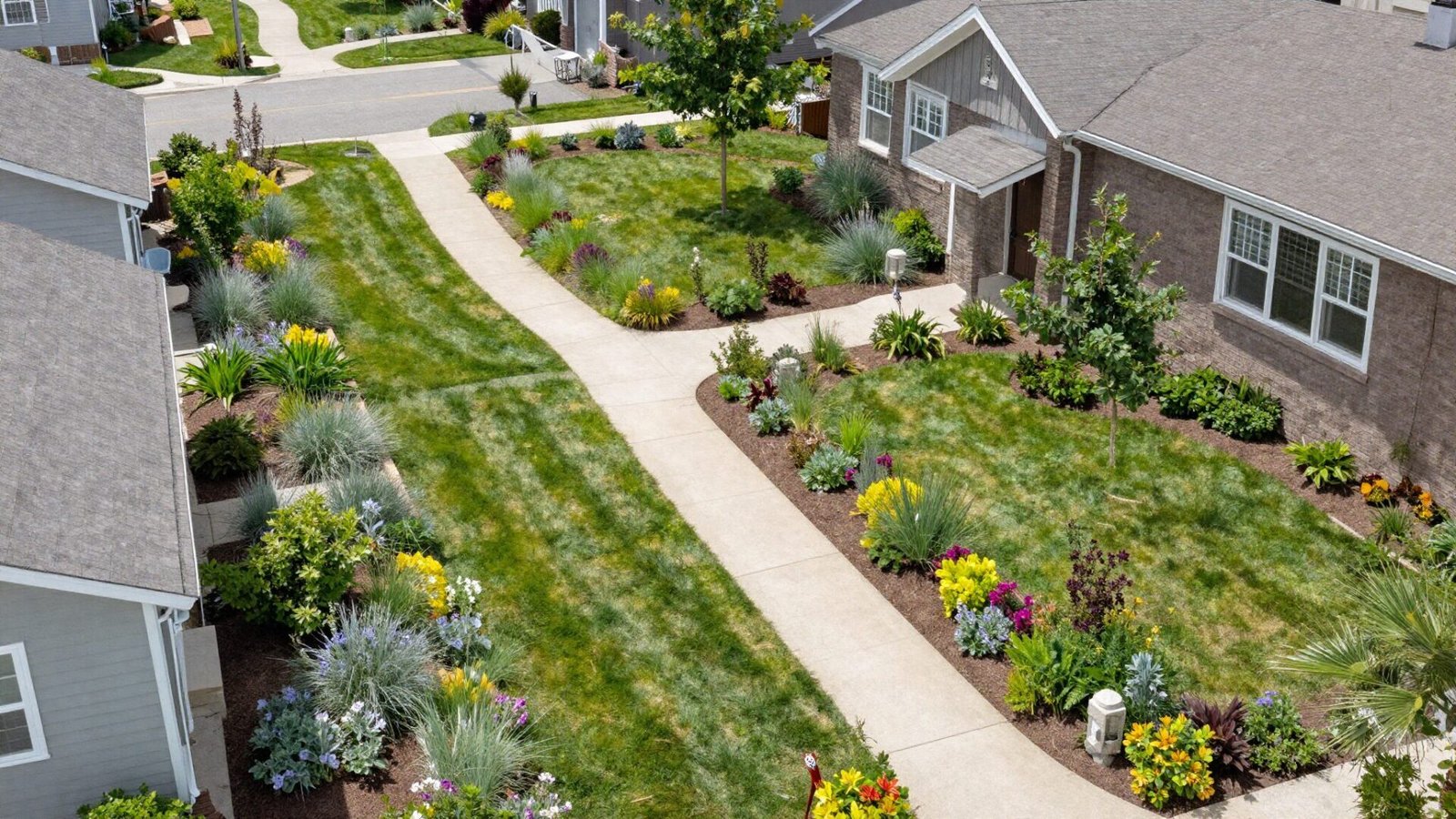Neighborhood backyard habitat corridor with matching native plant beds across adjoining yards
