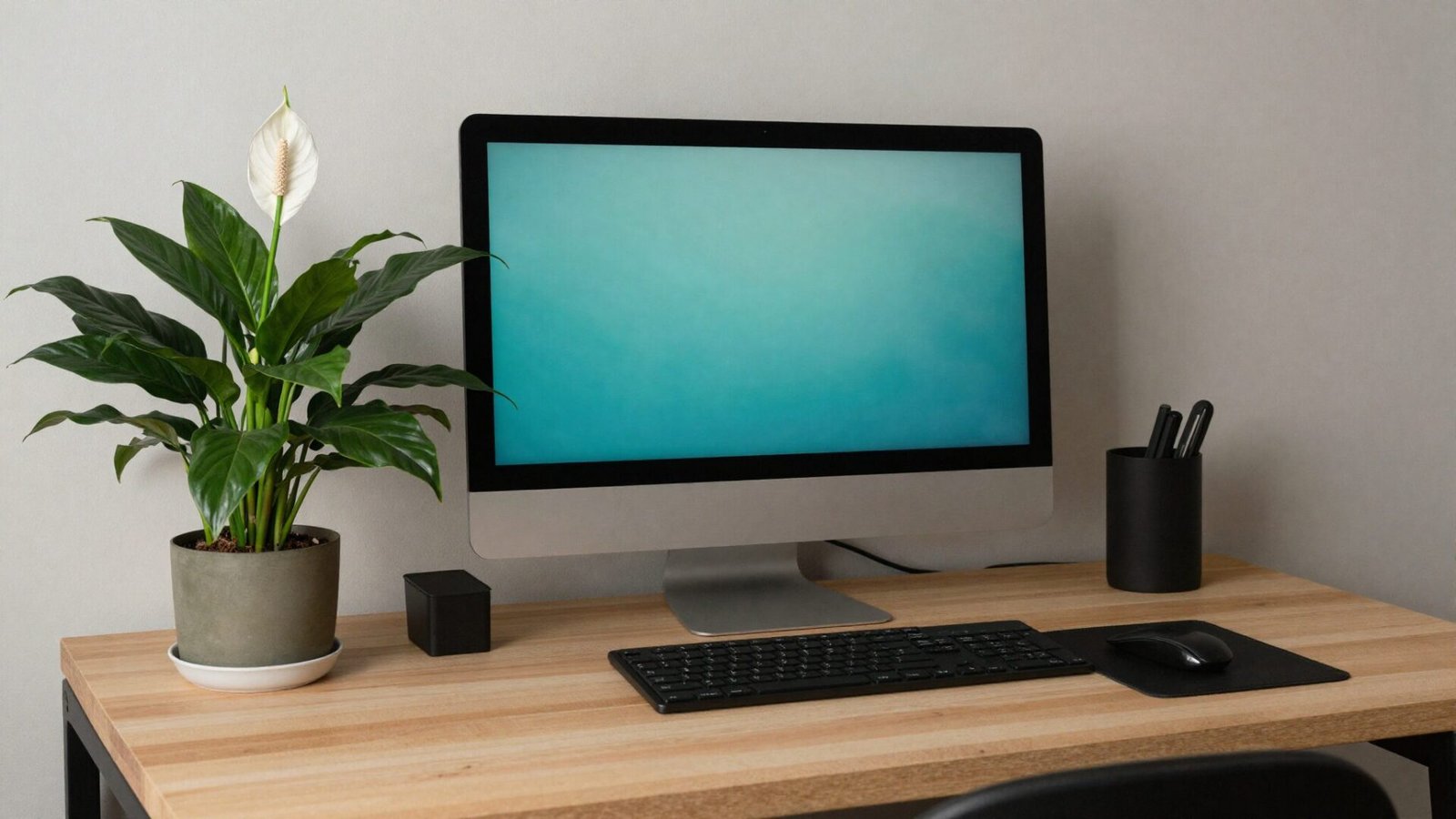 Home office desk with peace lily plant with white blooms beside the computer monitor