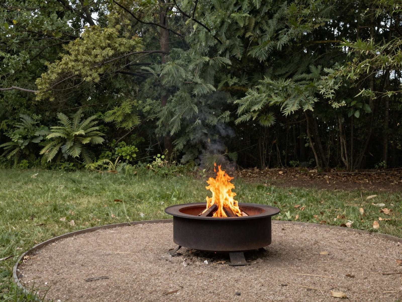 Backyard fire pit positioned well away from nearby trees
